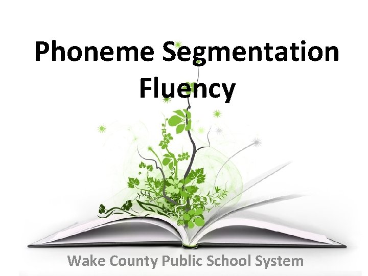 Phoneme Segmentation Fluency Wake County Public School System 