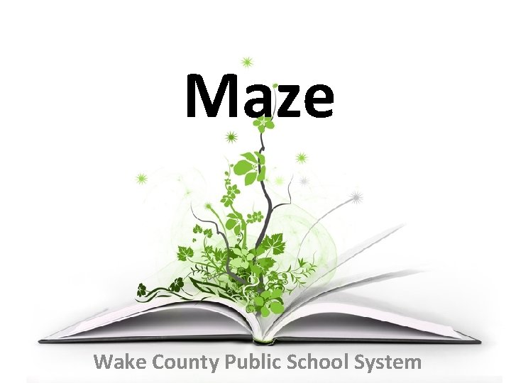 Maze Wake County Public School System 