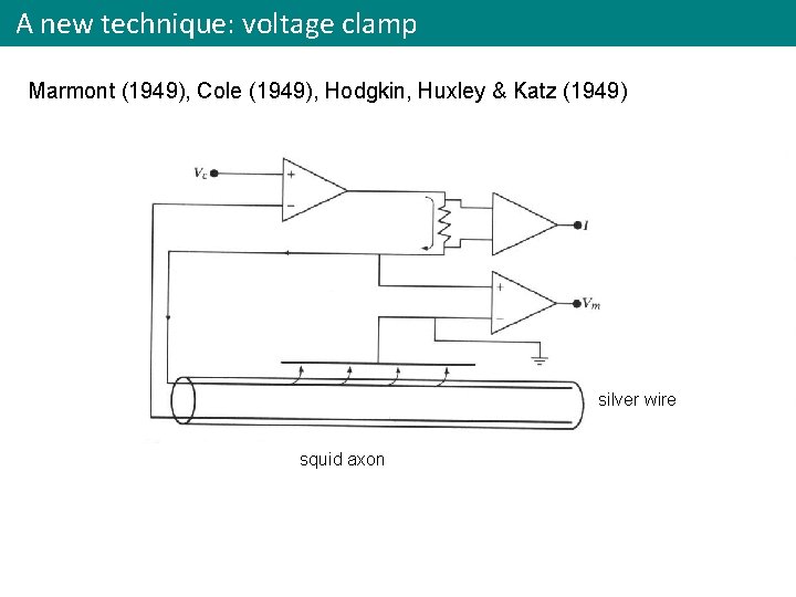 A new technique: voltage clamp Marmont (1949), Cole (1949), Hodgkin, Huxley & Katz (1949)