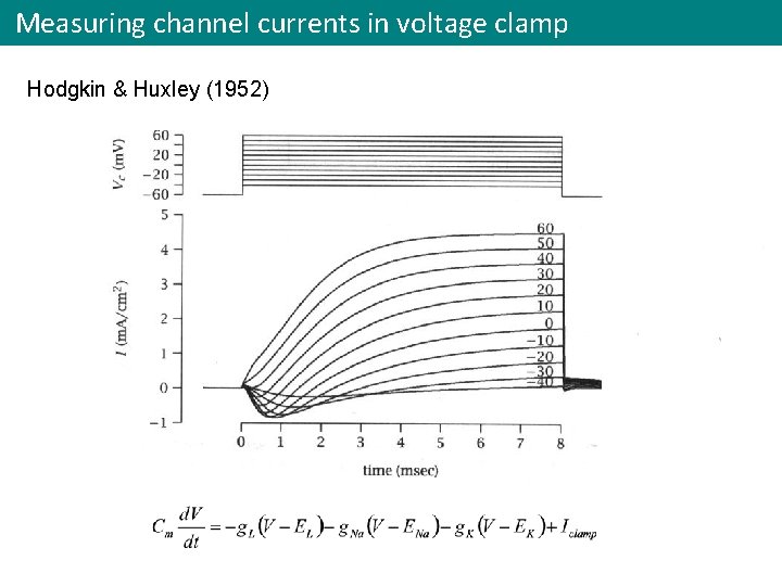 Measuring channel currents in voltage clamp Hodgkin & Huxley (1952) silver wire 