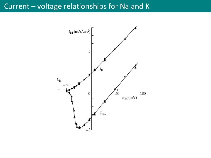 Current – voltage relationships for Na and K 
