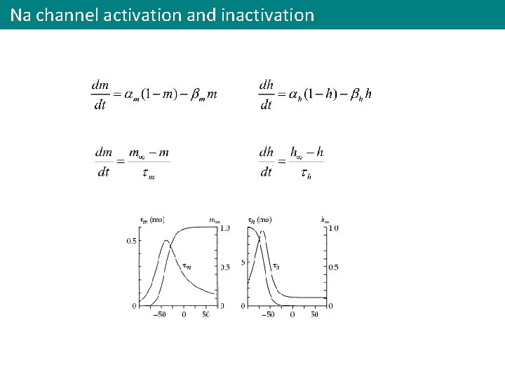 Na channel activation and inactivation 