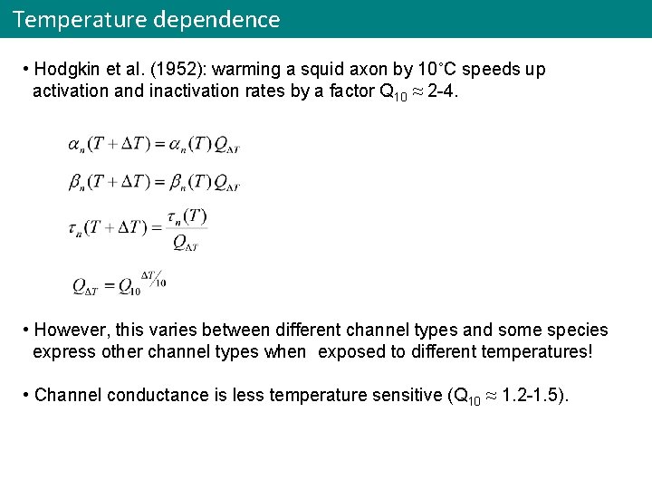 Temperature dependence • Hodgkin et al. (1952): warming a squid axon by 10˚C speeds