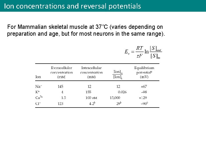 Ion concentrations and reversal potentials For Mammalian skeletal muscle at 37˚C (varies depending on