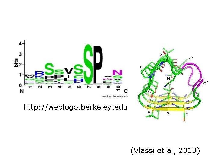 http: //weblogo. berkeley. edu (Vlassi et al, 2013) 