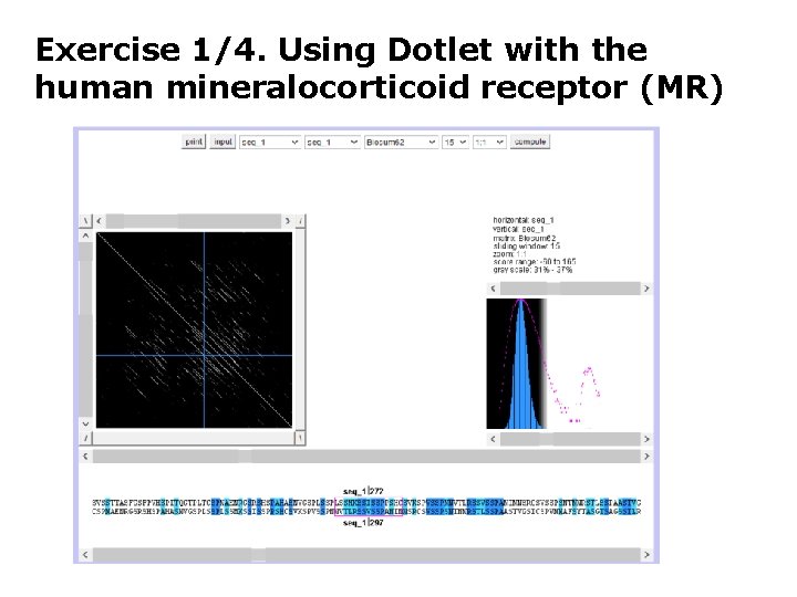 Exercise 1/4. Using Dotlet with the human mineralocorticoid receptor (MR) 
