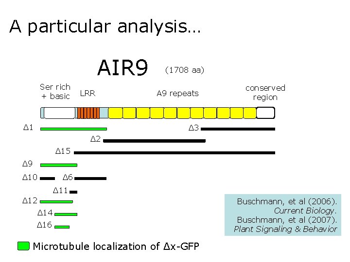 A particular analysis… AIR 9 Ser rich + basic LRR Δ 1 (1708 aa)