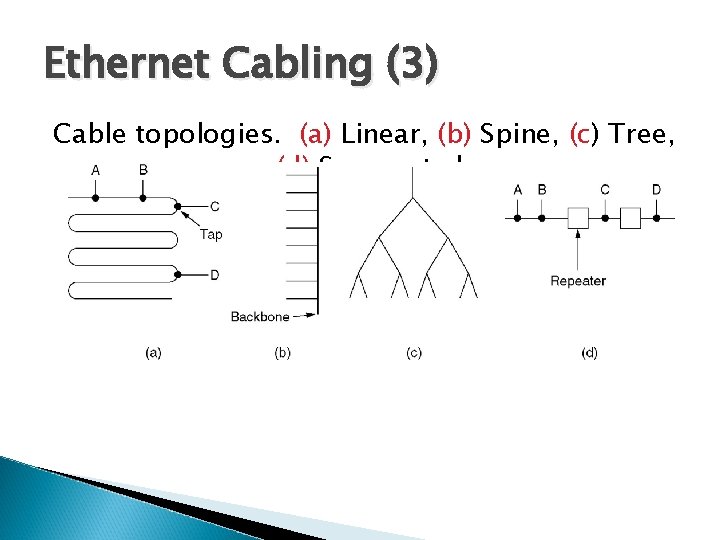Ethernet Cabling (3) Cable topologies. (a) Linear, (b) Spine, (c) Tree, (d) Segmented. 