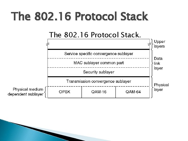 The 802. 16 Protocol Stack. 