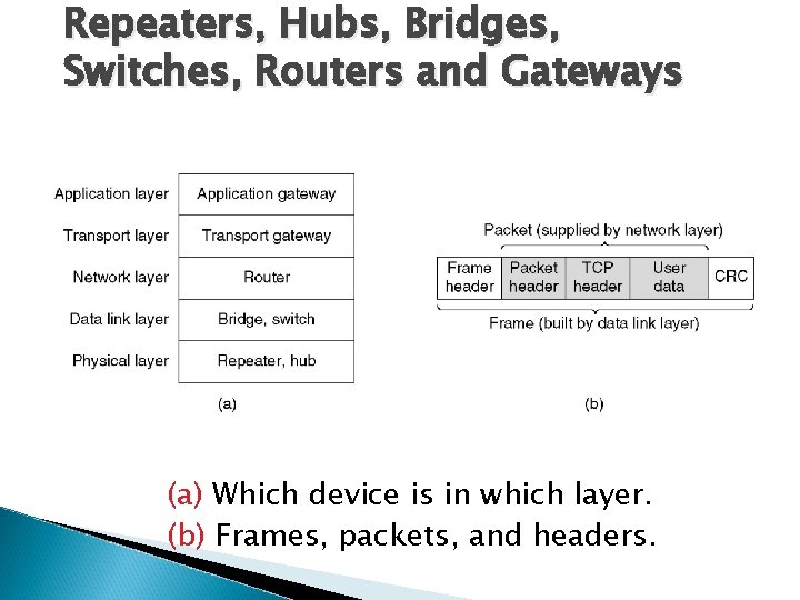 Repeaters, Hubs, Bridges, Switches, Routers and Gateways (a) Which device is in which layer.