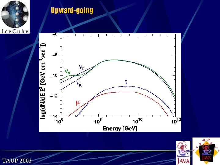 Upward-going TAUP 2003 