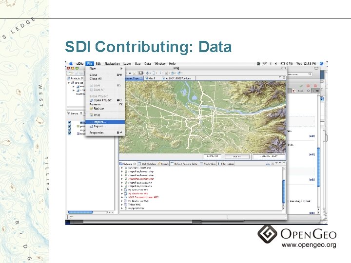 SDI Contributing: Data 