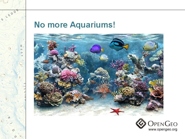 No more Aquariums! 