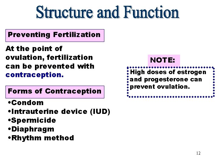 Preventing Fertilization At the point of ovulation, fertilization can be prevented with contraception. Forms