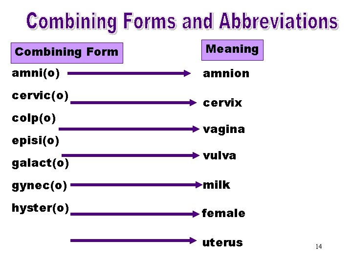 Combining Forms & Meaning Combining Form Abbreviations (amni) amni(o) amnion cervic(o) colp(o) episi(o) galact(o)