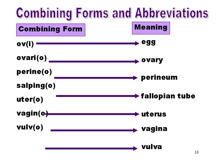 Combining Forms & Meaning Combining Form Abbreviations (ov) egg ov(i) ovari(o) perine(o) salping(o) ovary