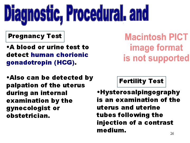 Pregnancy Test • A blood or urine test to detect human chorionic gonadotropin (HCG).