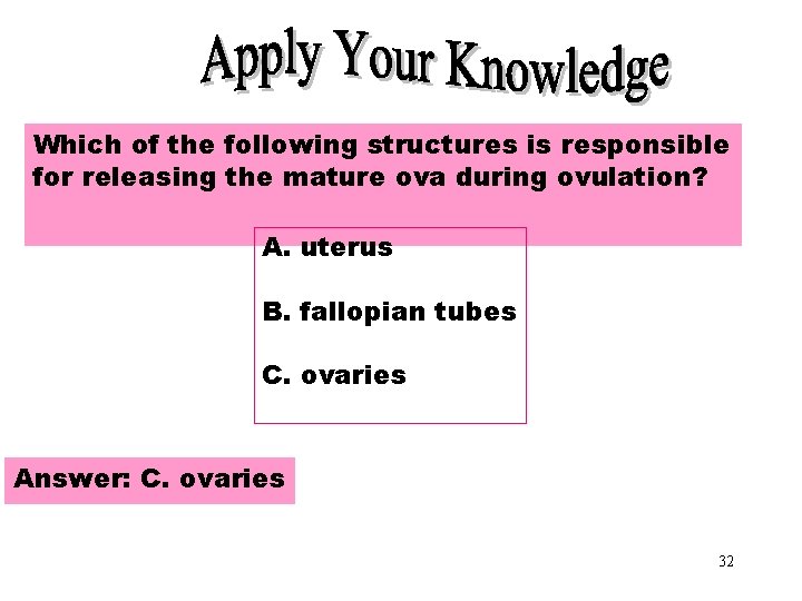 Apply Your Knowledge Which of the following structures is responsible for releasing the mature