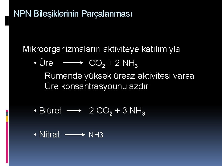 NPN Bileşiklerinin Parçalanması Mikroorganizmaların aktiviteye katılımıyla • Üre CO 2 + 2 NH 3