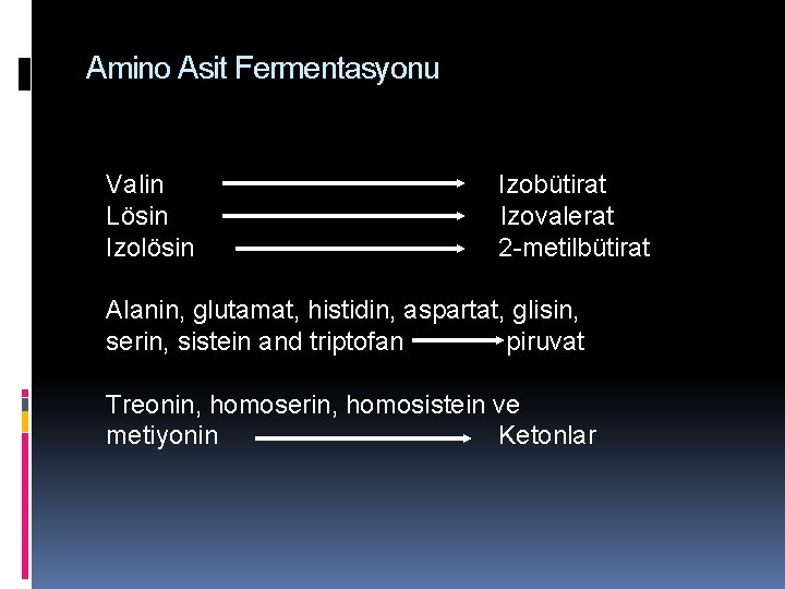 Amino Asit Fermentasyonu Valin Lösin Izolösin Izobütirat Izovalerat 2 -metilbütirat Alanin, glutamat, histidin, aspartat,