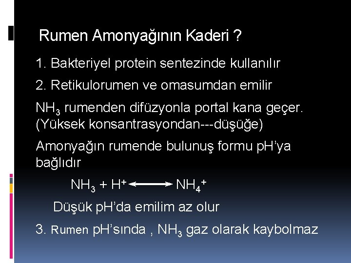 Rumen Amonyağının Kaderi ? 1. Bakteriyel protein sentezinde kullanılır 2. Retikulorumen ve omasumdan emilir