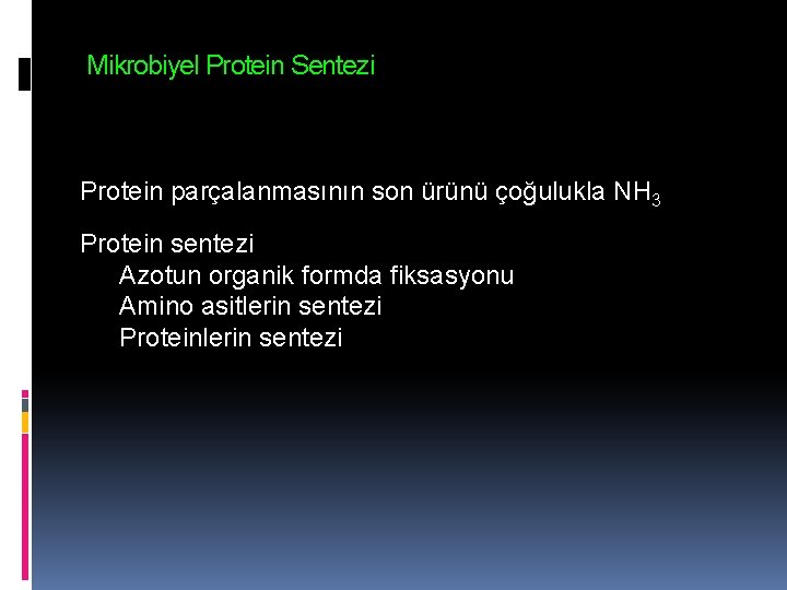 Mikrobiyel Protein Sentezi Protein parçalanmasının son ürünü çoğulukla NH 3 Protein sentezi Azotun organik