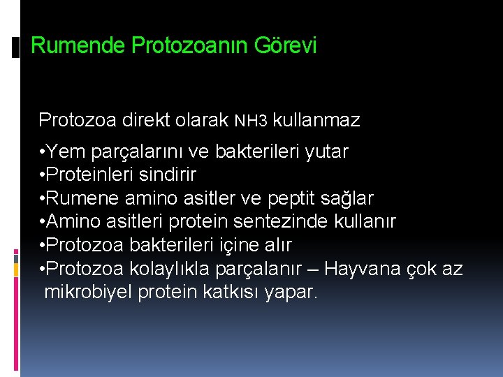 Rumende Protozoanın Görevi Protozoa direkt olarak NH 3 kullanmaz • Yem parçalarını ve bakterileri