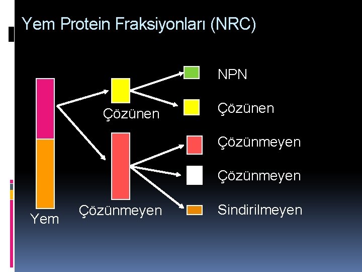 Yem Protein Fraksiyonları (NRC) NPN Çözünen Çözünmeyen Yem Çözünmeyen Sindirilmeyen 