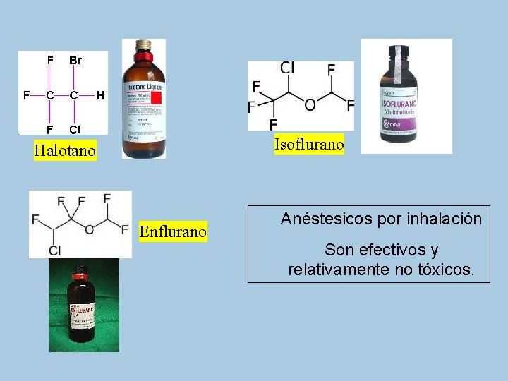 Isoflurano Halotano Enflurano Anéstesicos por inhalación Son efectivos y relativamente no tóxicos. 