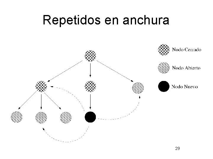 Repetidos en anchura 29 