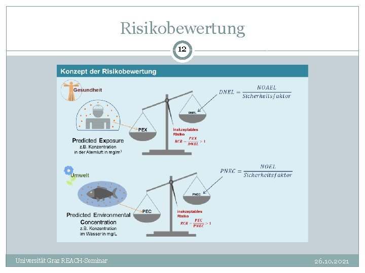 Risikobewertung 12 Universität Graz REACH-Seminar 26. 10. 2021 