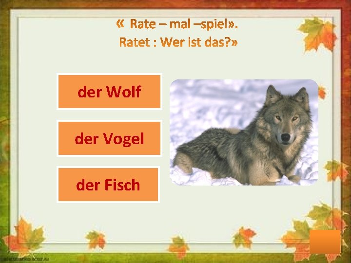der Wolf der Vogel der Fisch 