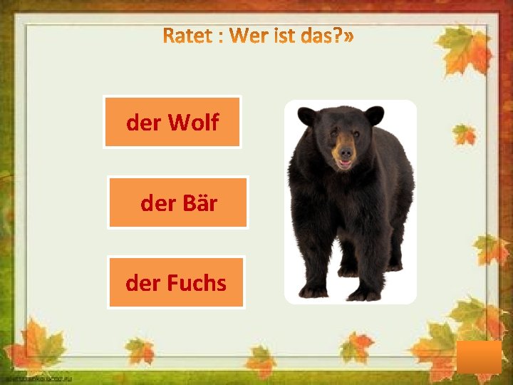 der Wolf der Bär der Fuchs 