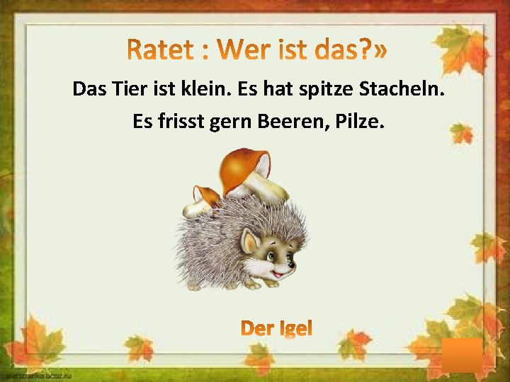 Das Tier ist klein. Es hat spitze Stacheln. Es frisst gern Beeren, Pilze. 