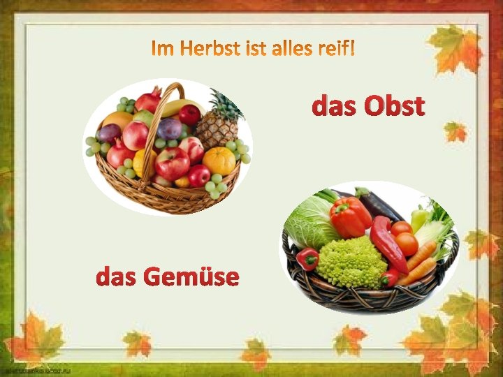 das Obst das Gemüse 