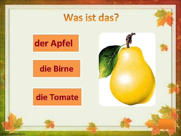 der Apfel die Birne die Tomate 