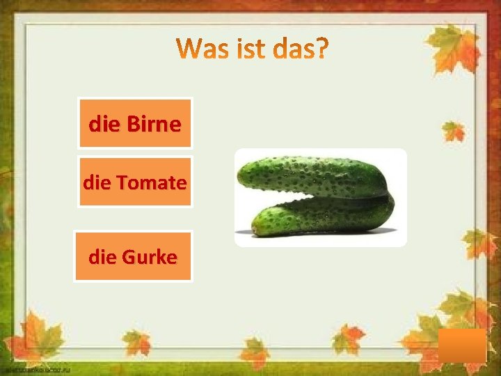 die Birne die Tomate die Gurke 