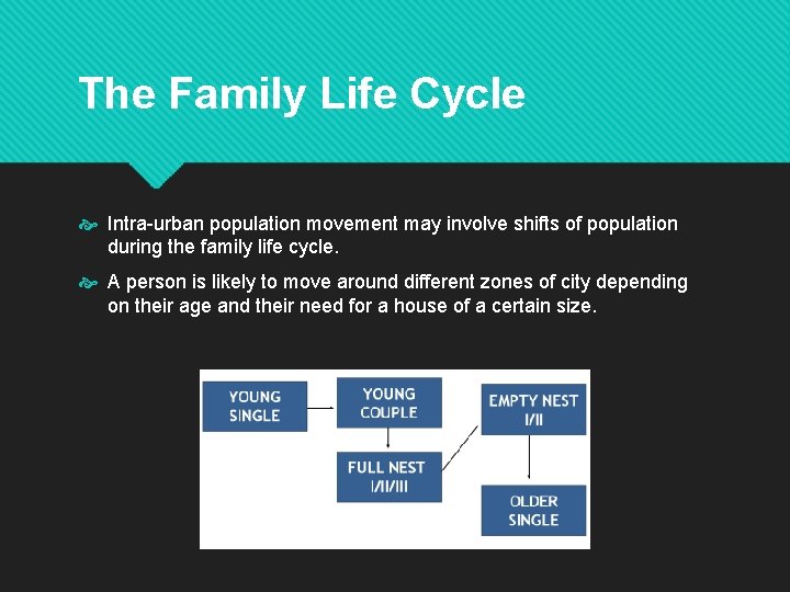 The Family Life Cycle Intra-urban population movement may involve shifts of population during the