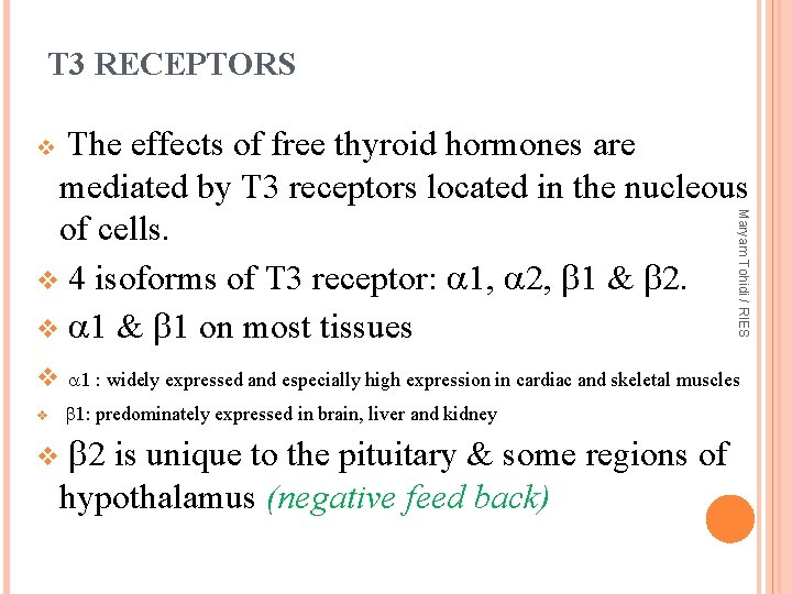 T 3 RECEPTORS The effects of free thyroid hormones are mediated by T 3