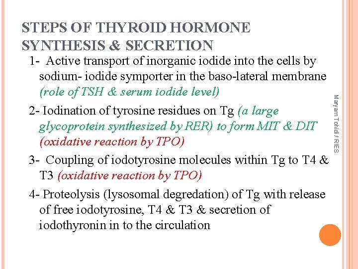 STEPS OF THYROID HORMONE SYNTHESIS & SECRETION Maryam Tohidi / RIES 1 - Active