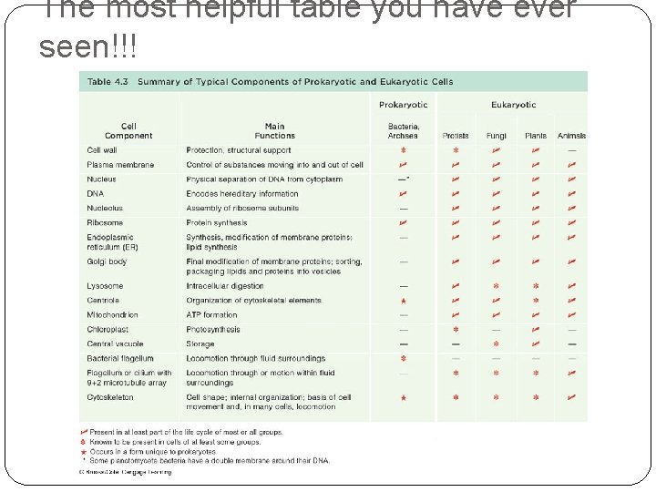 The most helpful table you have ever seen!!! 