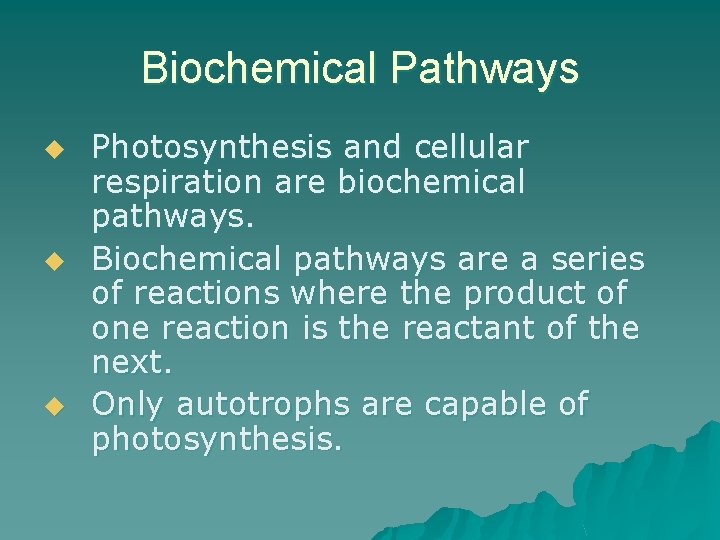 Biochemical Pathways u u u Photosynthesis and cellular respiration are biochemical pathways. Biochemical pathways