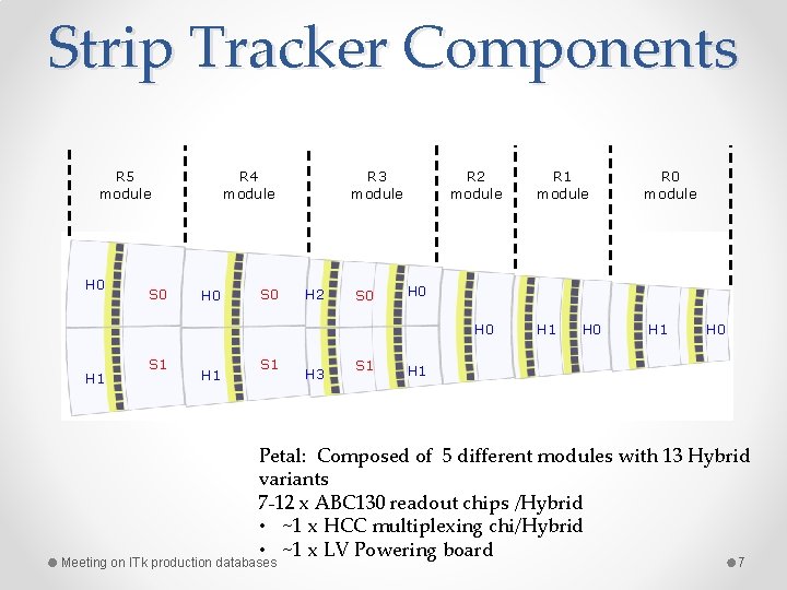 Strip Tracker Components R 5 module H 0 S 0 R 4 module H
