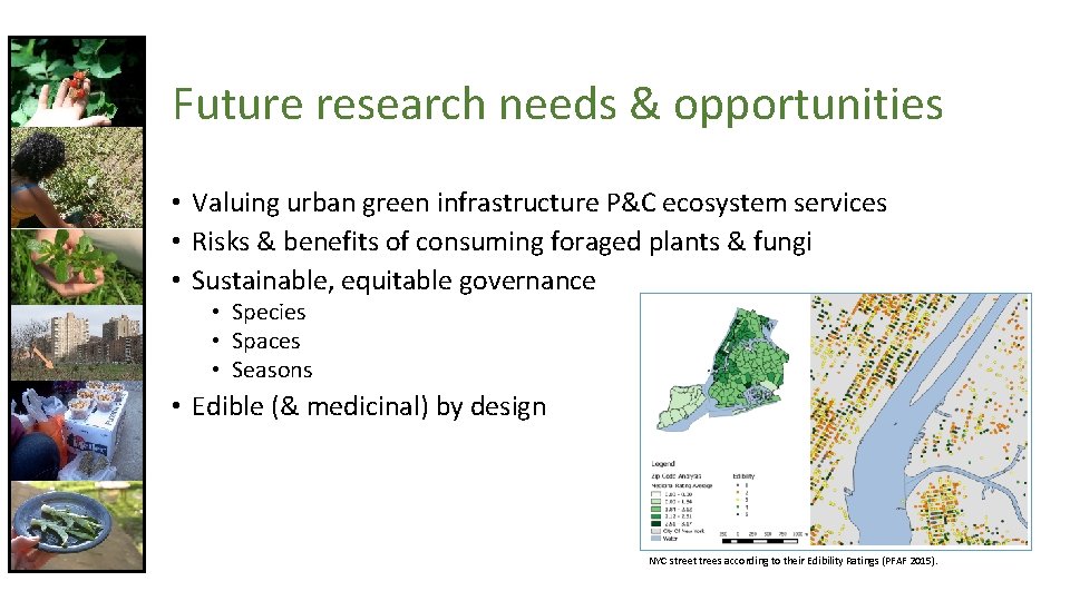 Future research needs & opportunities • Valuing urban green infrastructure P&C ecosystem services •