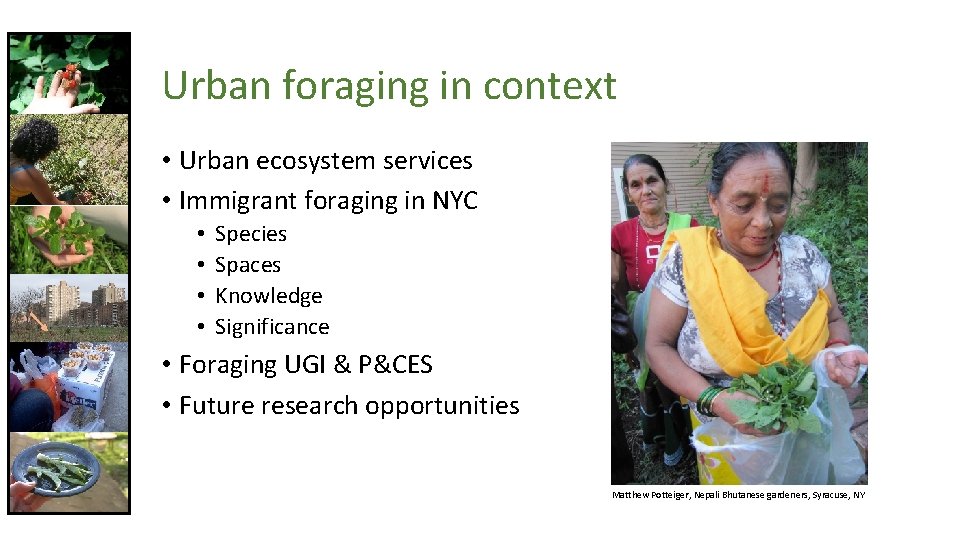 Urban foraging in context • Urban ecosystem services • Immigrant foraging in NYC •