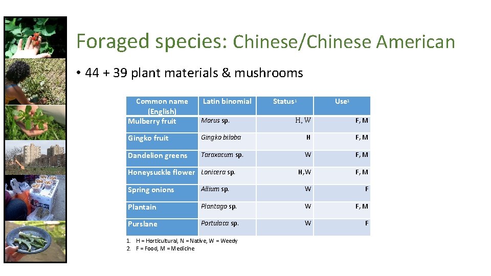 Foraged species: Chinese/Chinese American • 44 + 39 plant materials & mushrooms Common name