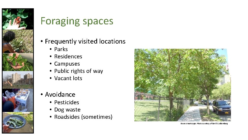 Foraging spaces • Frequently visited locations • • • Parks Residences Campuses Public rights