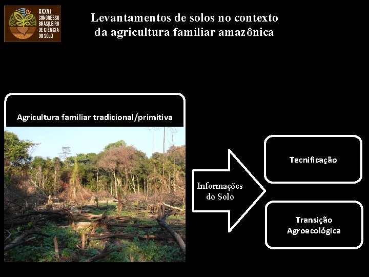 Levantamentos de solos no contexto da agricultura familiar amazônica Agricultura familiar tradicional/primitiva Tecnificação Informações