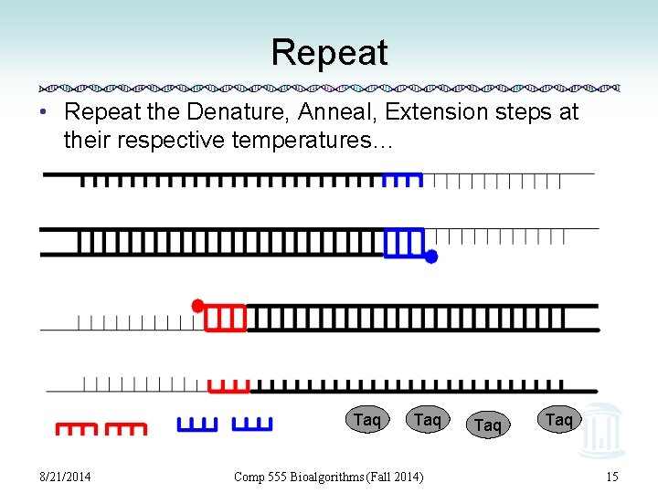 Repeat • Repeat the Denature, Anneal, Extension steps at their respective temperatures… Taq 8/21/2014