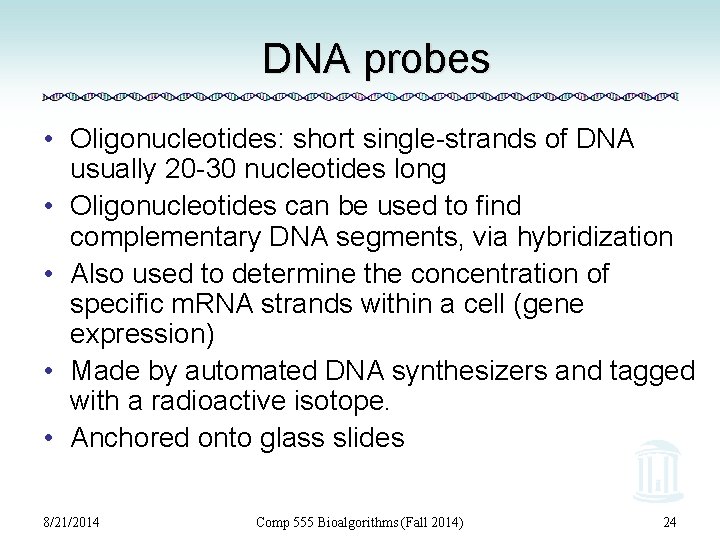 DNA probes • Oligonucleotides: short single-strands of DNA usually 20 -30 nucleotides long •